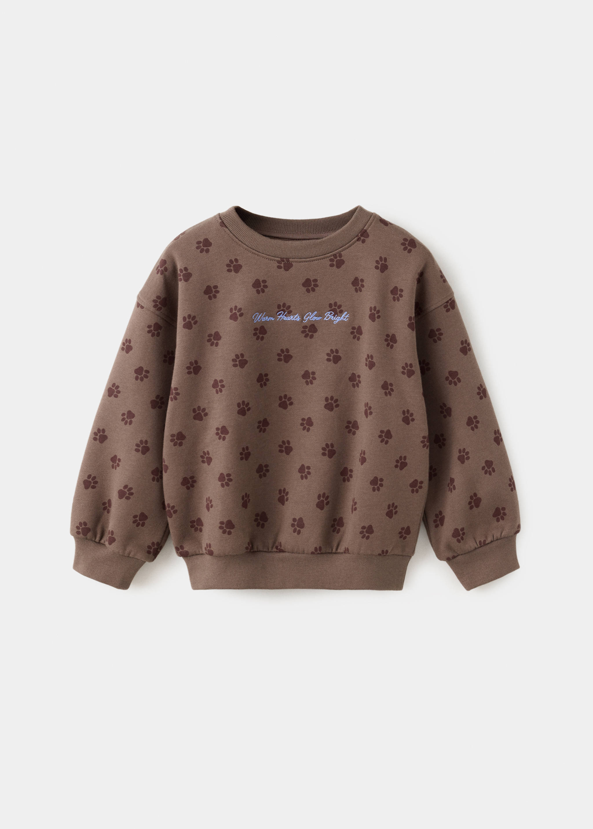 Printed sweatshirt with embroidered detail - Article without model