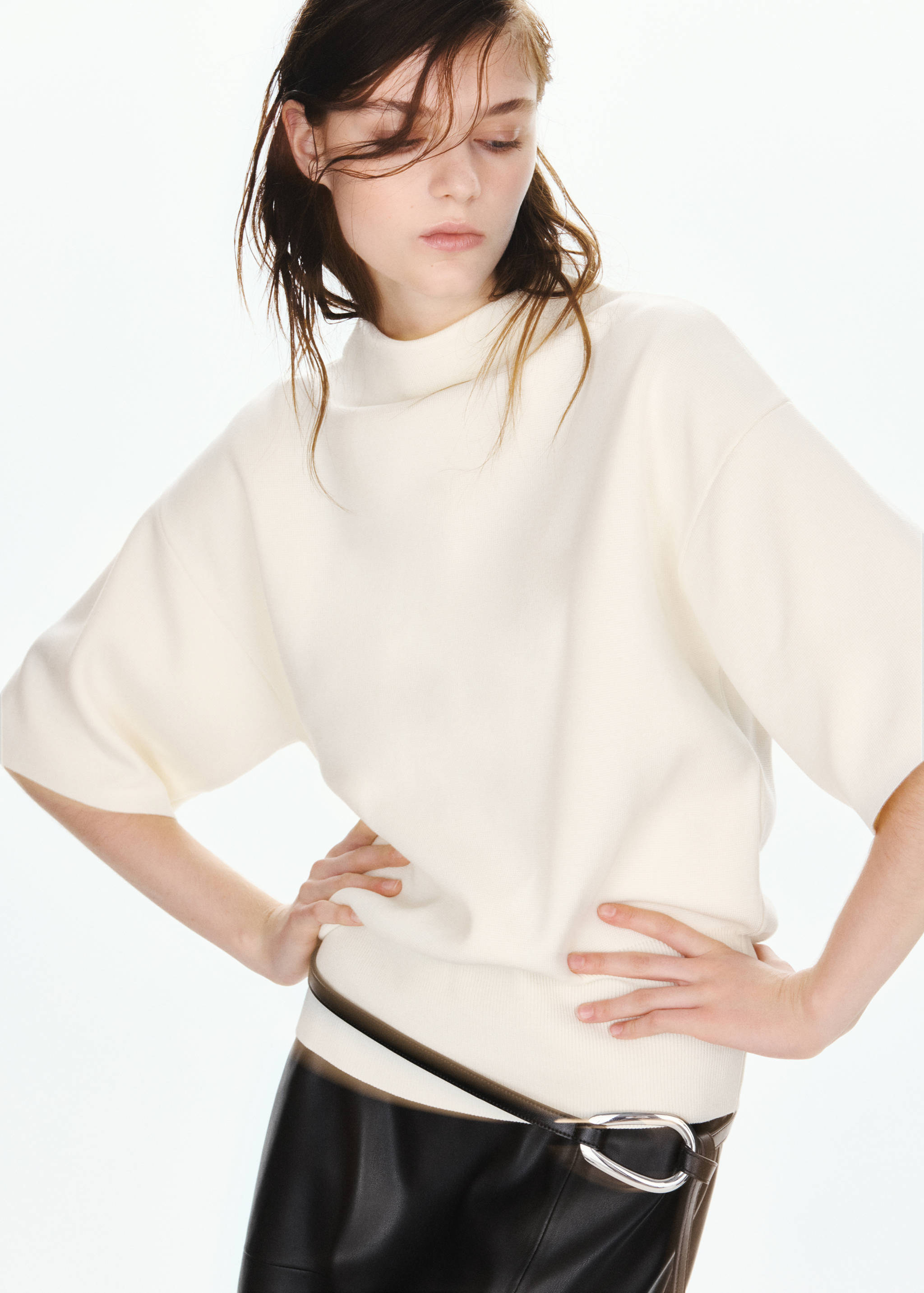 Fine-knit roll-neck jumper - Medium plane
