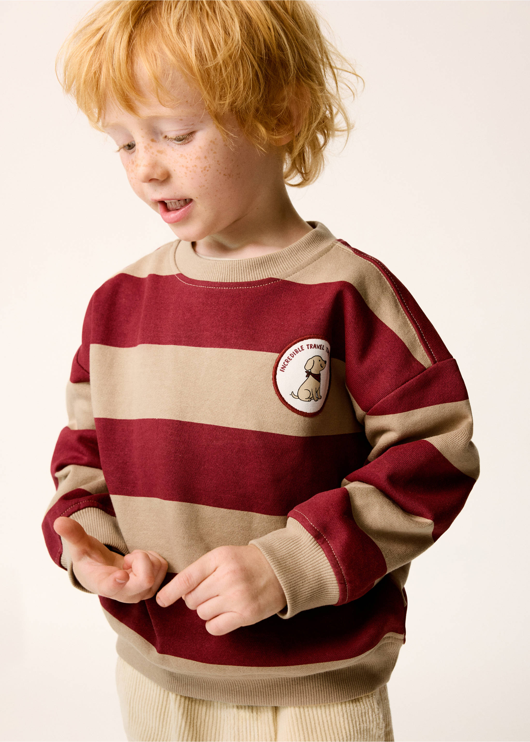 Striped sweatshirt with embroidered patch - General plane, Tobacco Brown. Ref: 37016333-00.