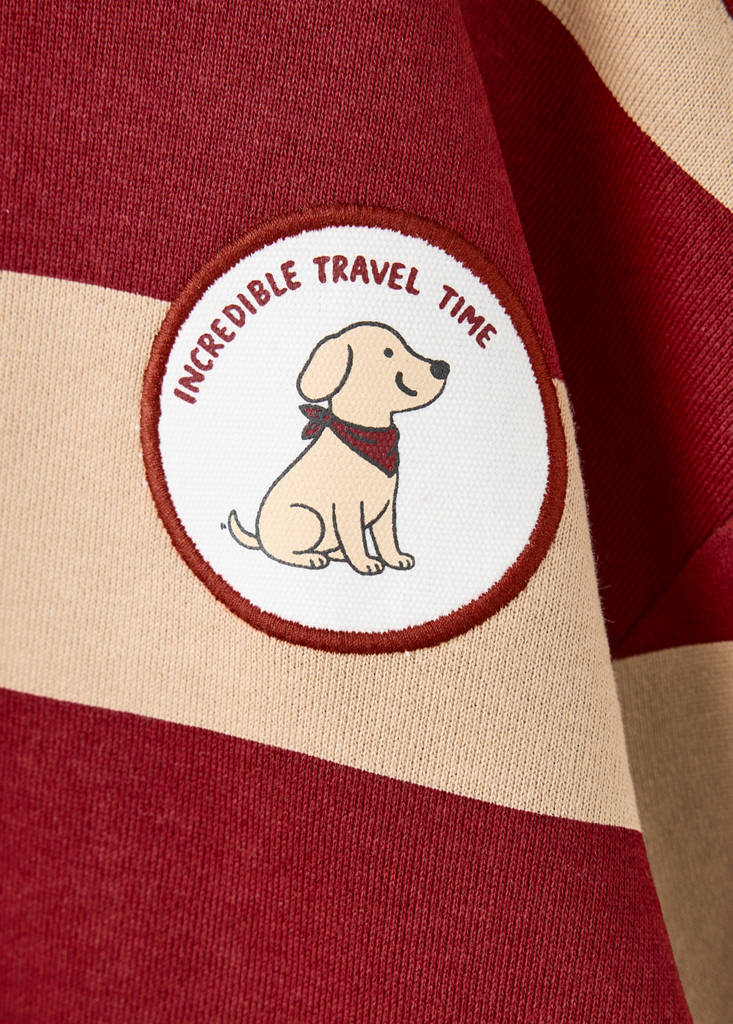 Striped sweatshirt with embroidered patch — Tobacco Brown