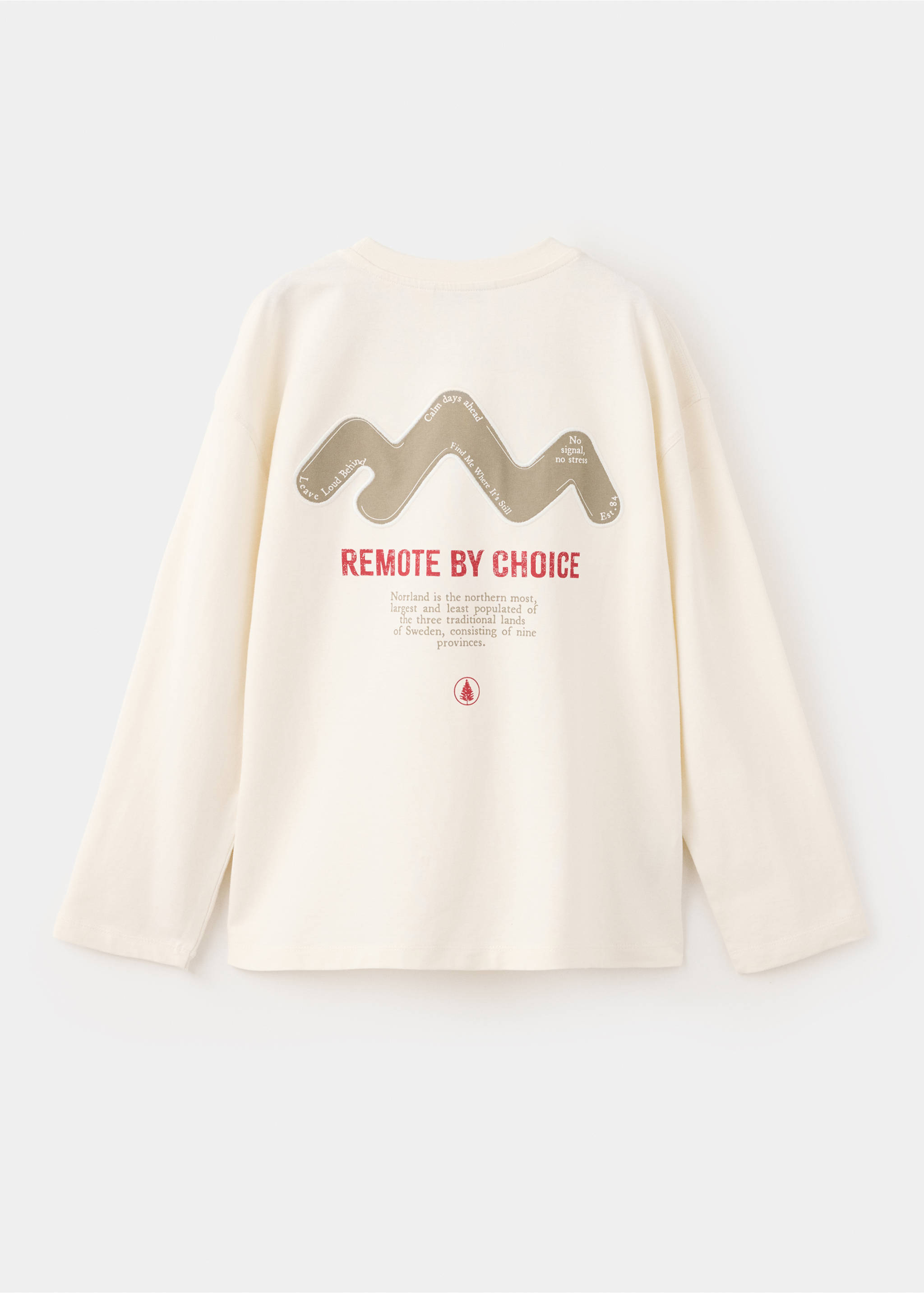 Printed oversize t-shirt - Reverse of the article, Ecru. Ref: 37016337-00.