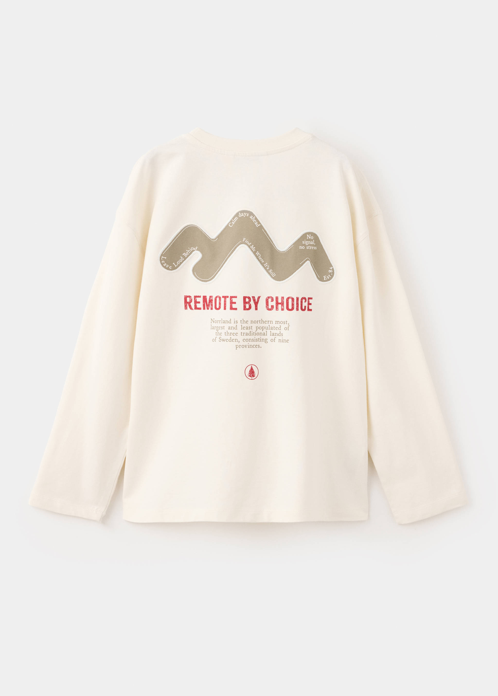 Printed oversize t-shirt - Reverse of the article