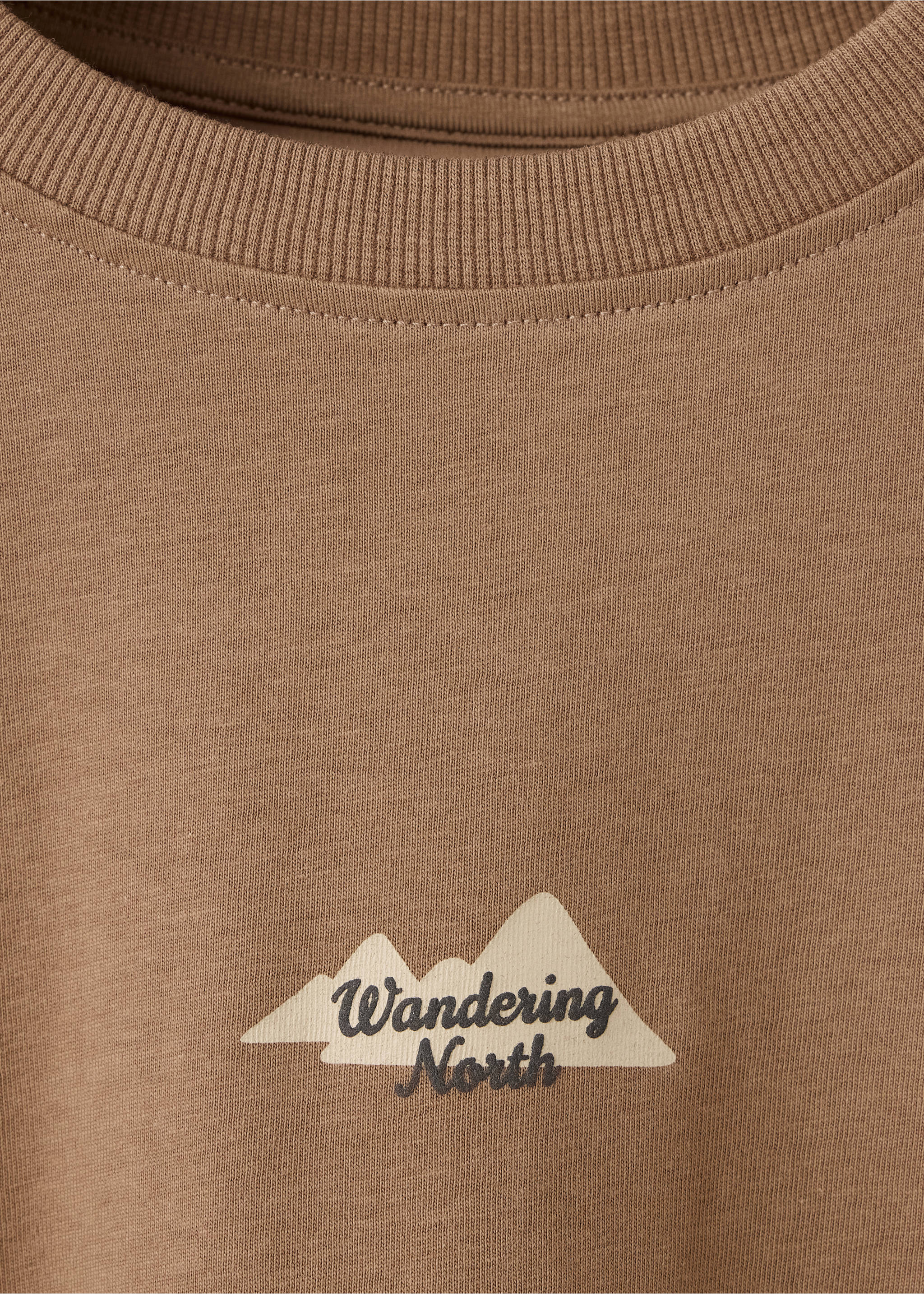 Printed oversize t-shirt - Details of the article 8, Caramel. Ref: 37016338-00.