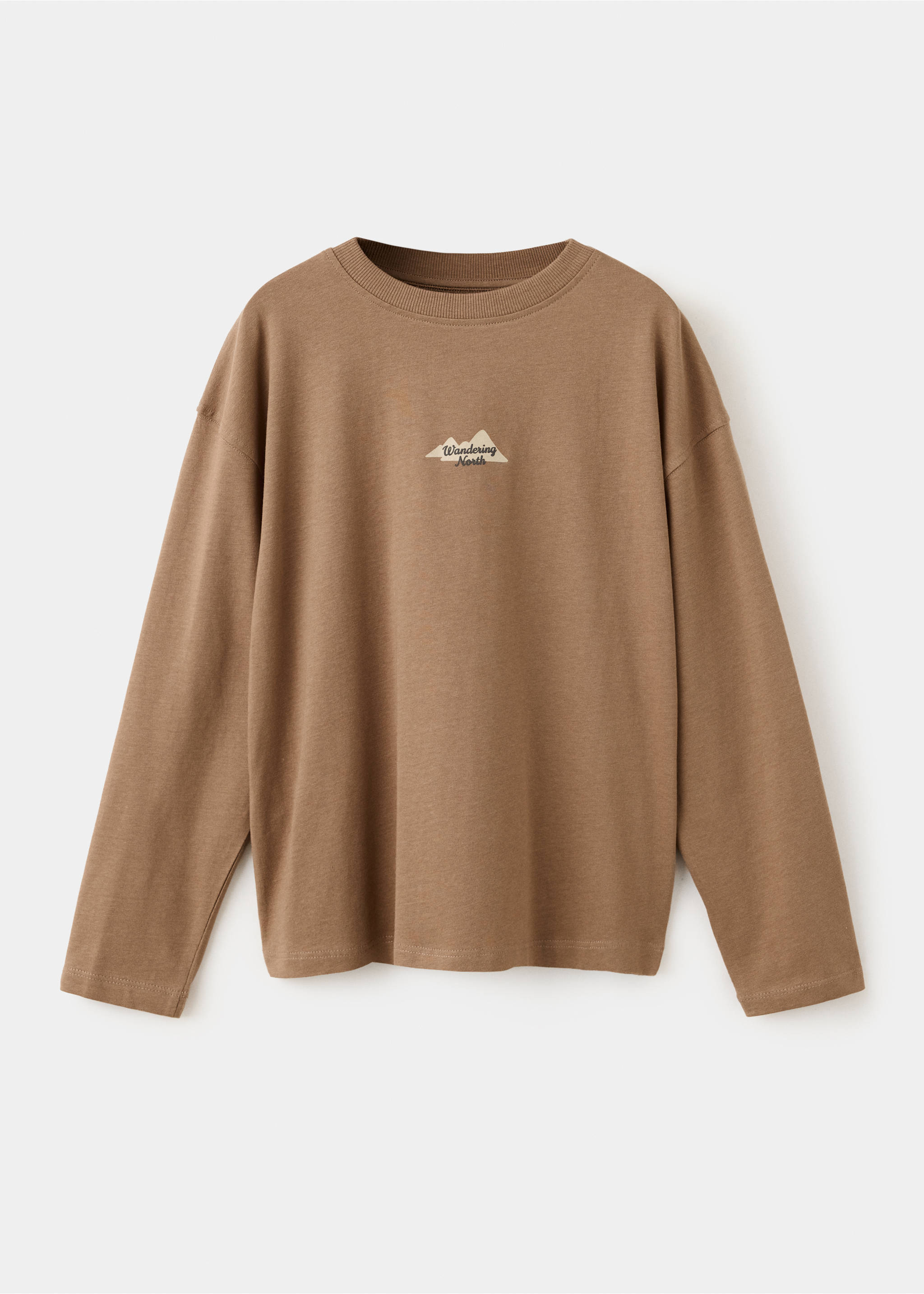 Printed oversize t-shirt - Article without model, Caramel. Ref: 37016338-00.