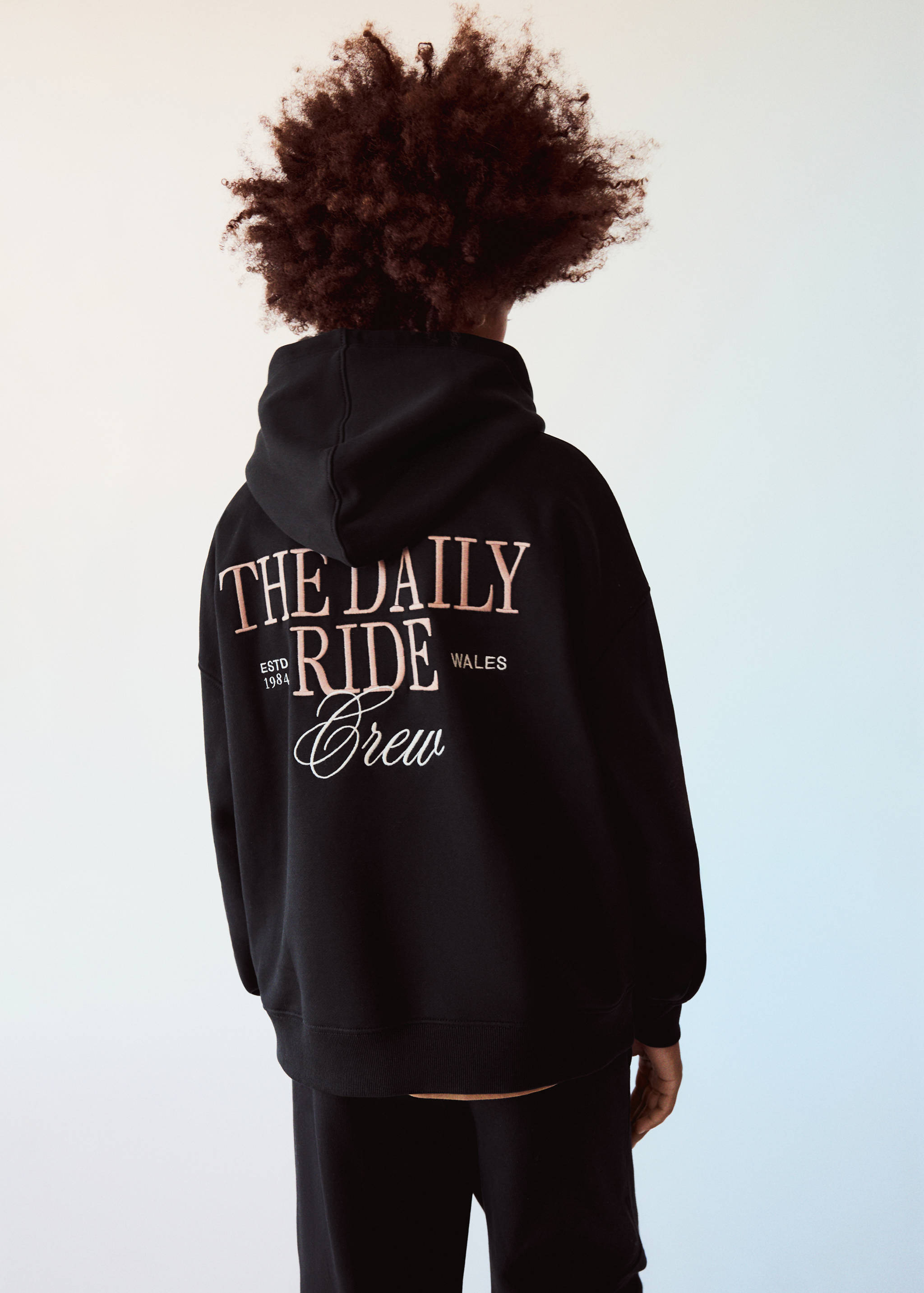 Embroidered text hoodie - Medium plane