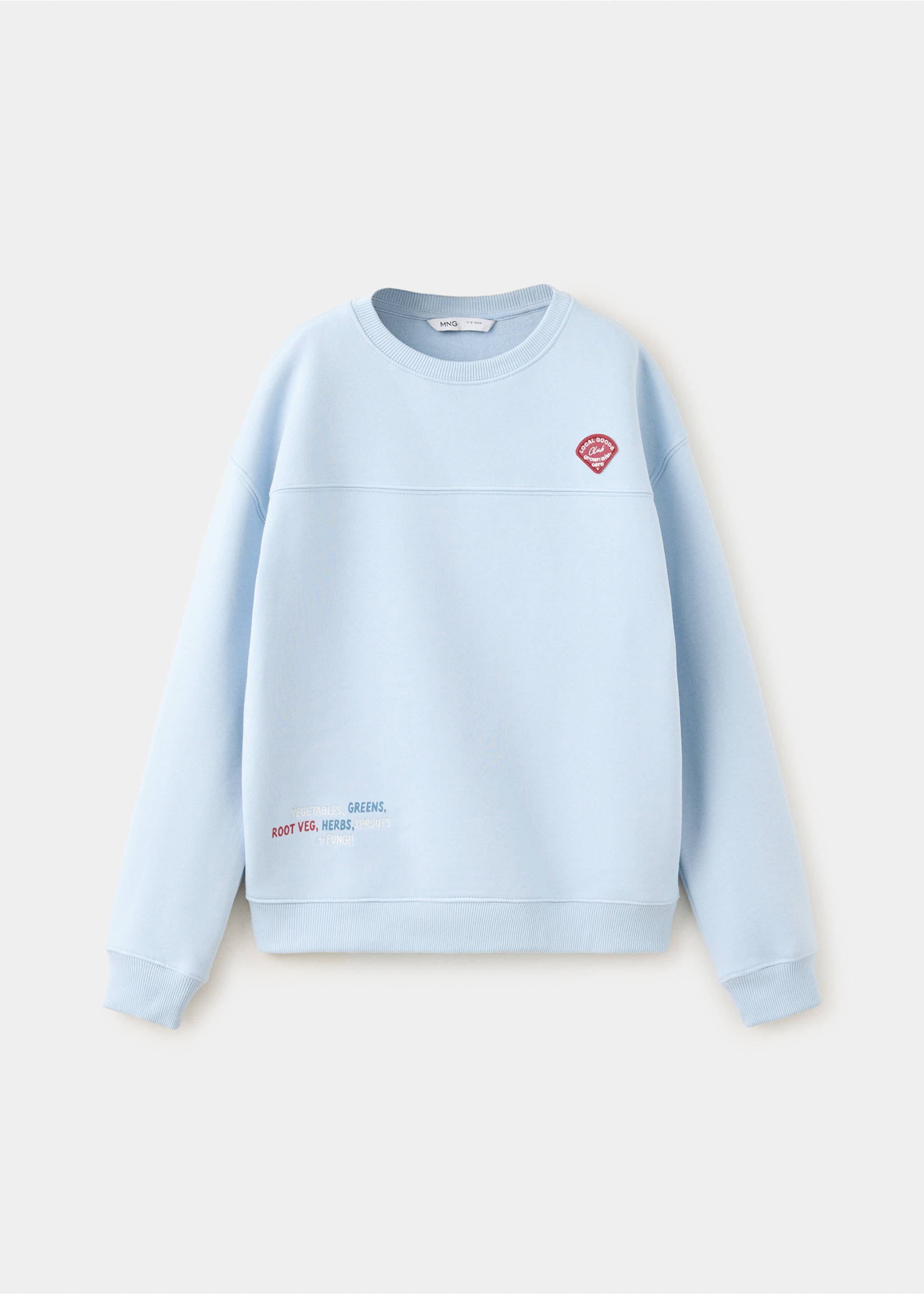 Embroidered detail cotton sweatshirt - Article without model, Sky Blue. Ref: 37018634-00.