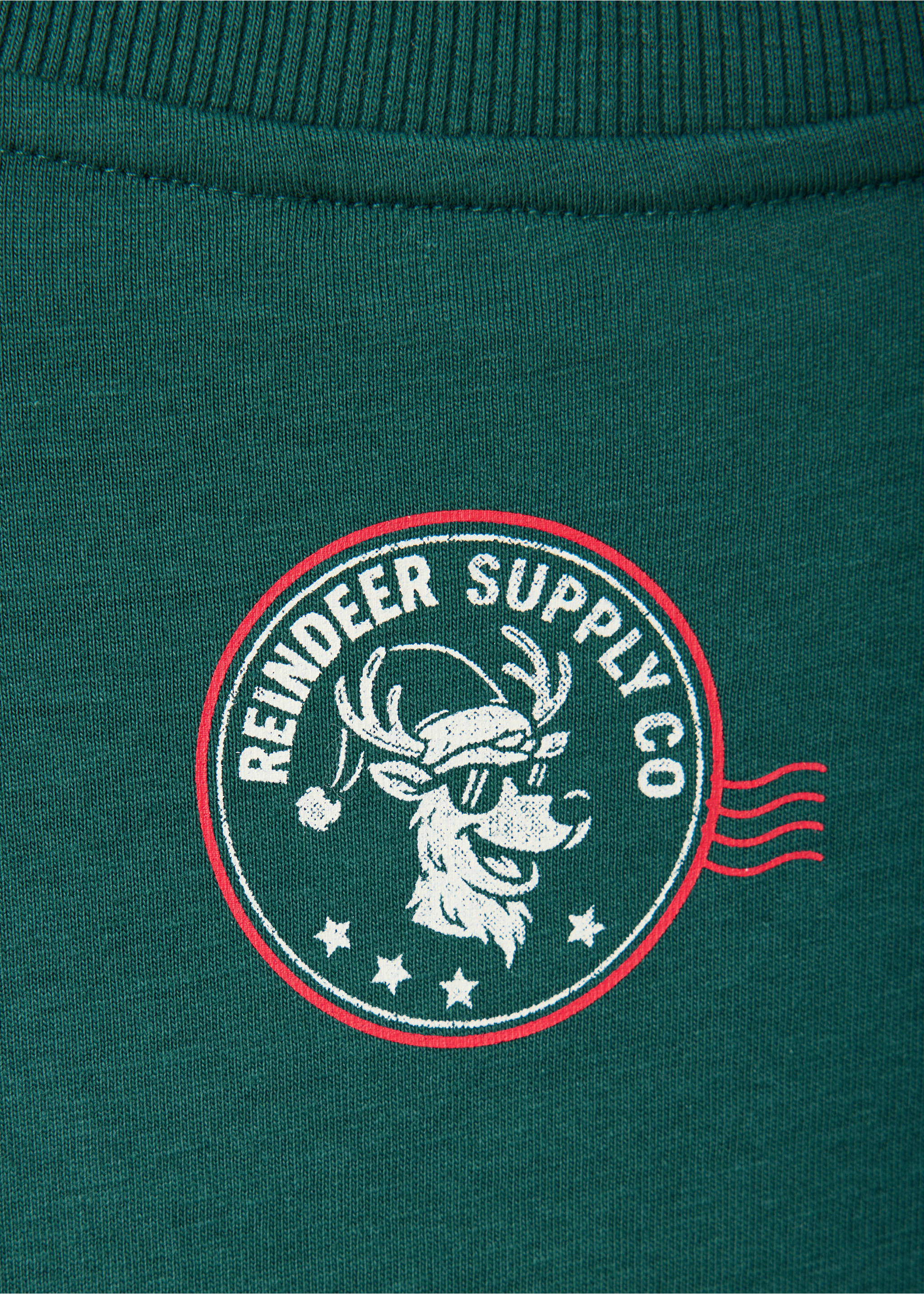 Close-up of a green t-shirt with a reindeer graphic print and ribbed neckline., Dark Green. Ref: 37019214-00.