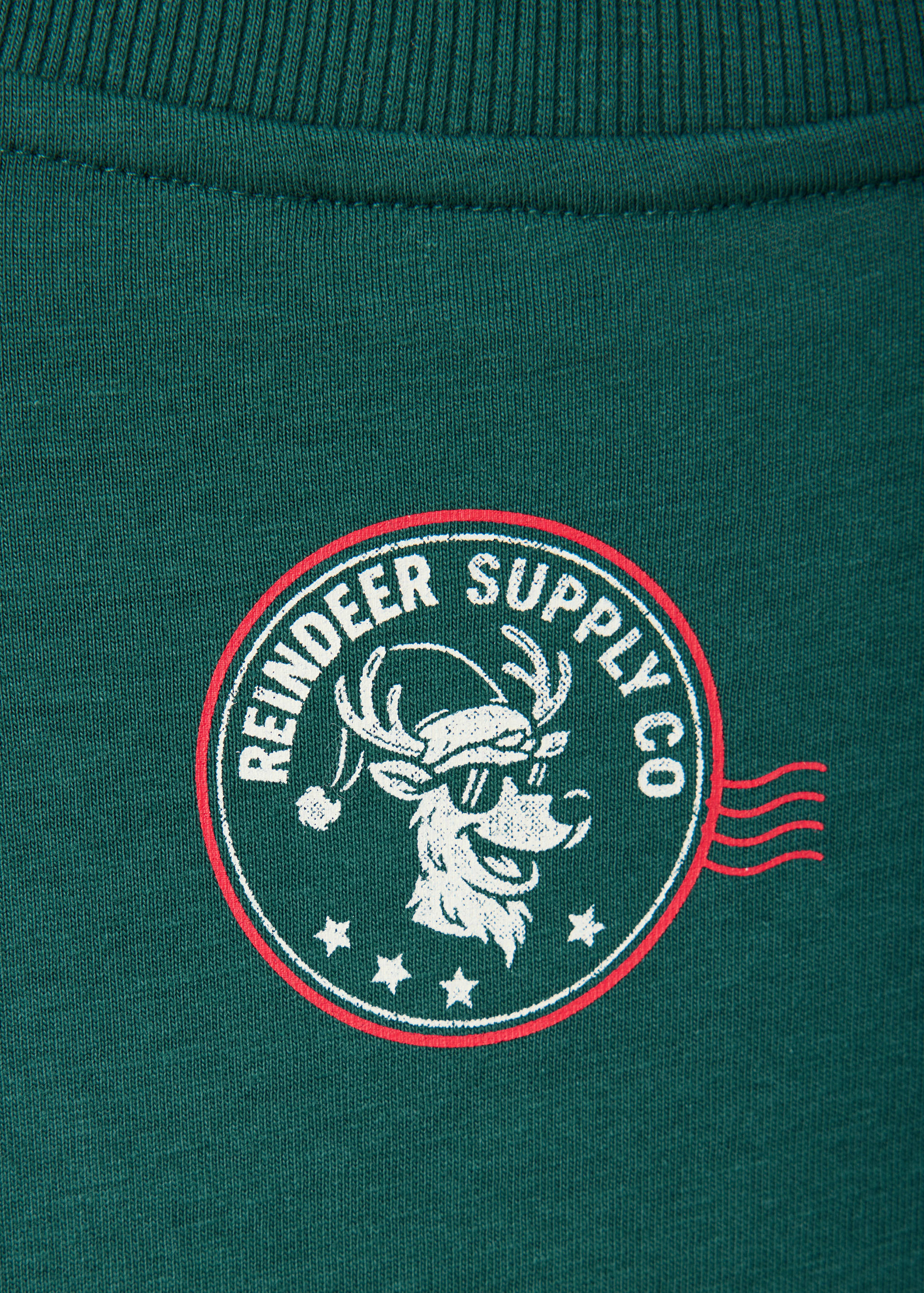 Close-up of a green t-shirt with a reindeer graphic print and ribbed neckline.