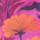 Couleur Violet sélectionnée