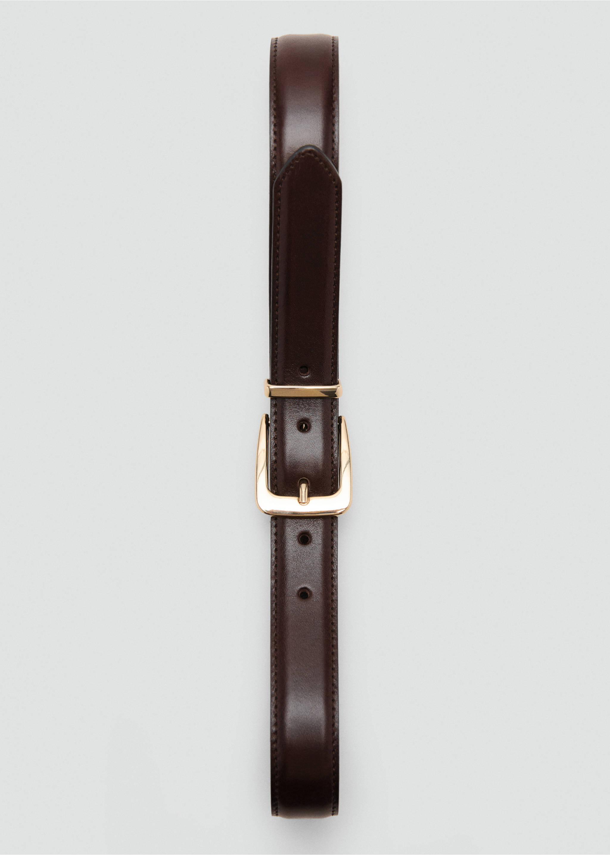 Belt selma3 - Details of the article 2, Chocolate. Ref: 37022908-00.