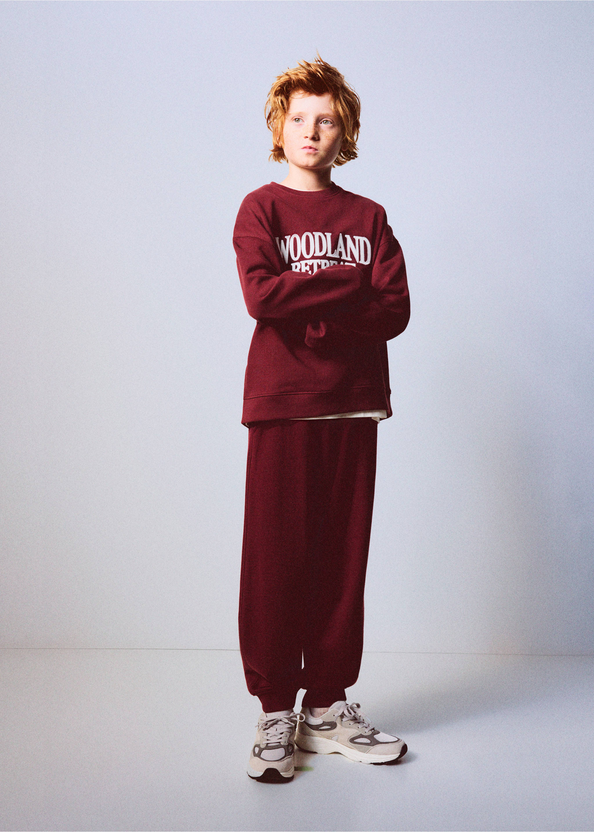 Printed cotton sweatshirt - General plane, Maroon. Ref: 37026329-00.