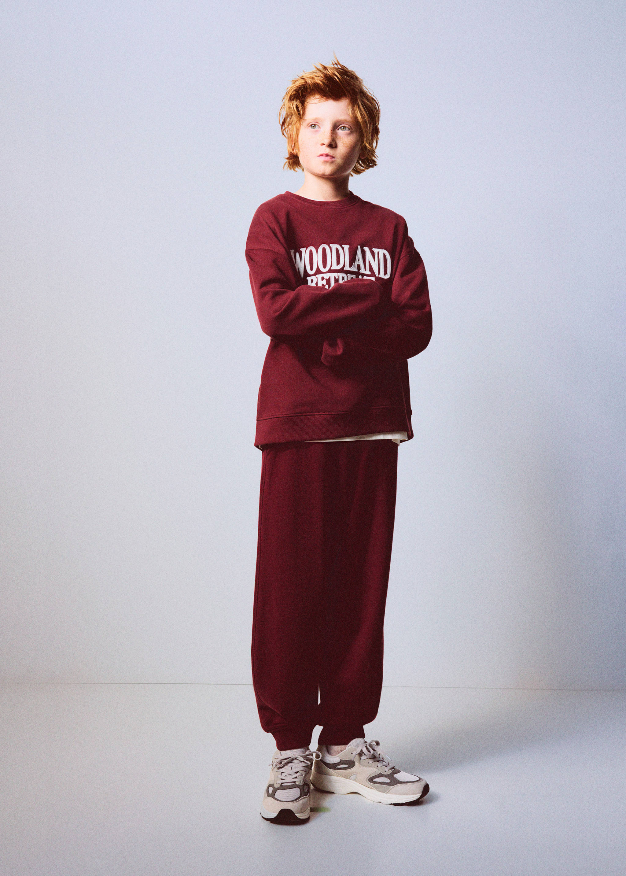 Printed cotton sweatshirt - General plane
