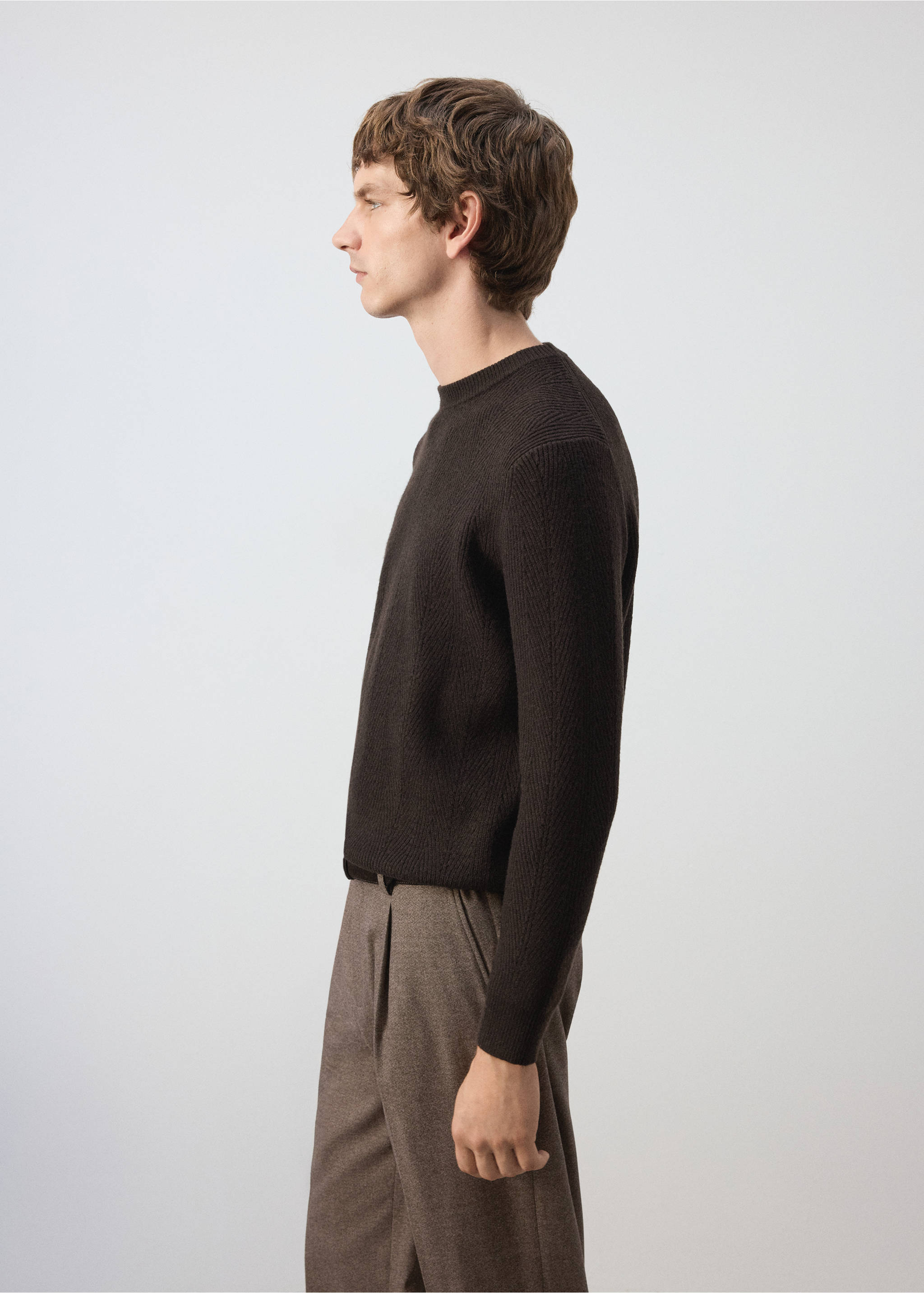 Dark brown ribbed knit sweater with a crew neck., Chocolate. Ref: 37027913-00.