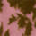 Color Rosa seleccionado