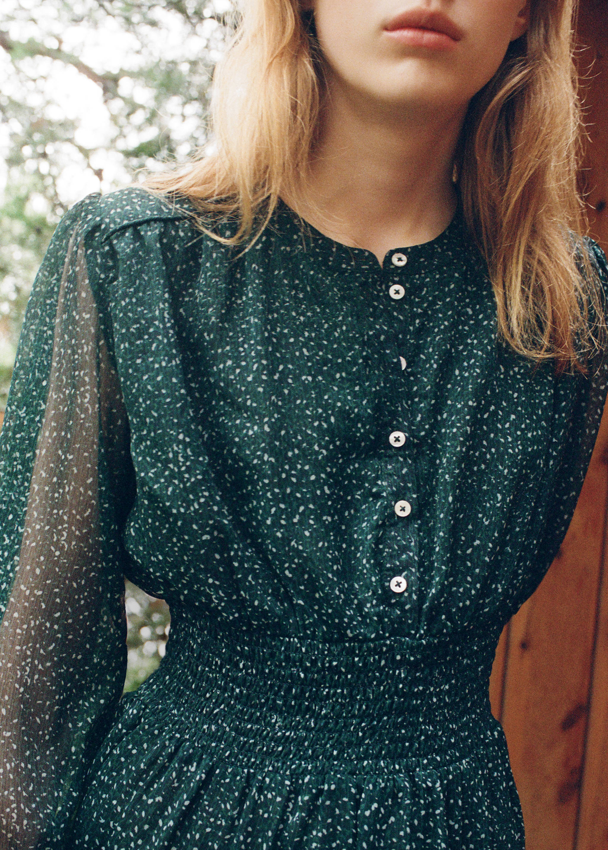 Printed chiffon dress - Medium plane