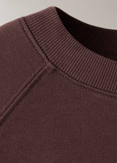 Washed 100% cotton sweatshirt — Burgundy 6