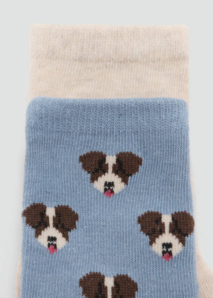 Pack of 2 puppy socks — Blue