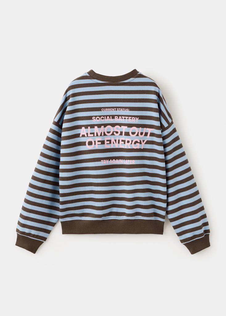 Striped printed sweatshirt