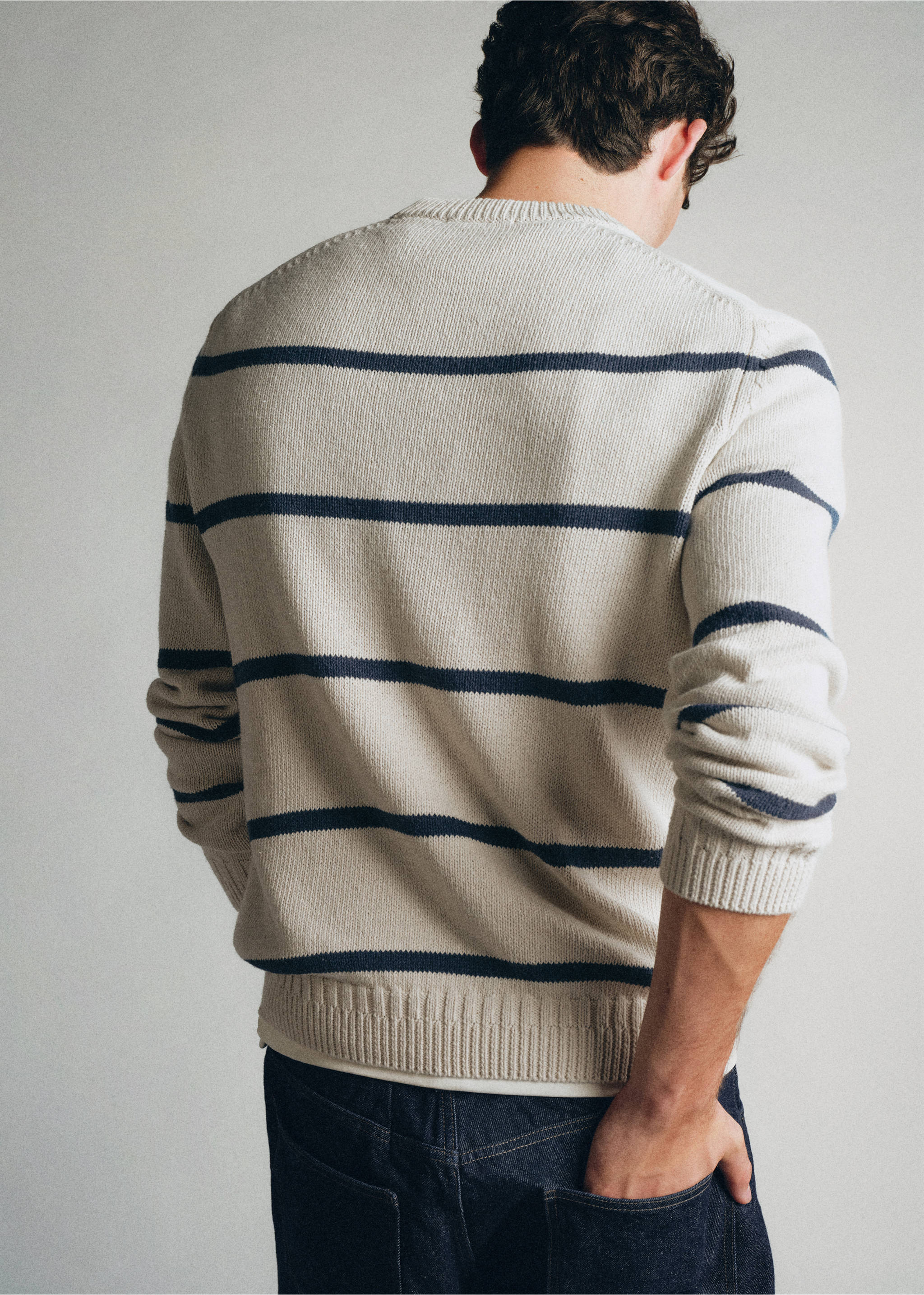 100% cotton striped jersey knit jumper - Reverse of the article, Light/Pastel Grey. Ref: 37035841-00.