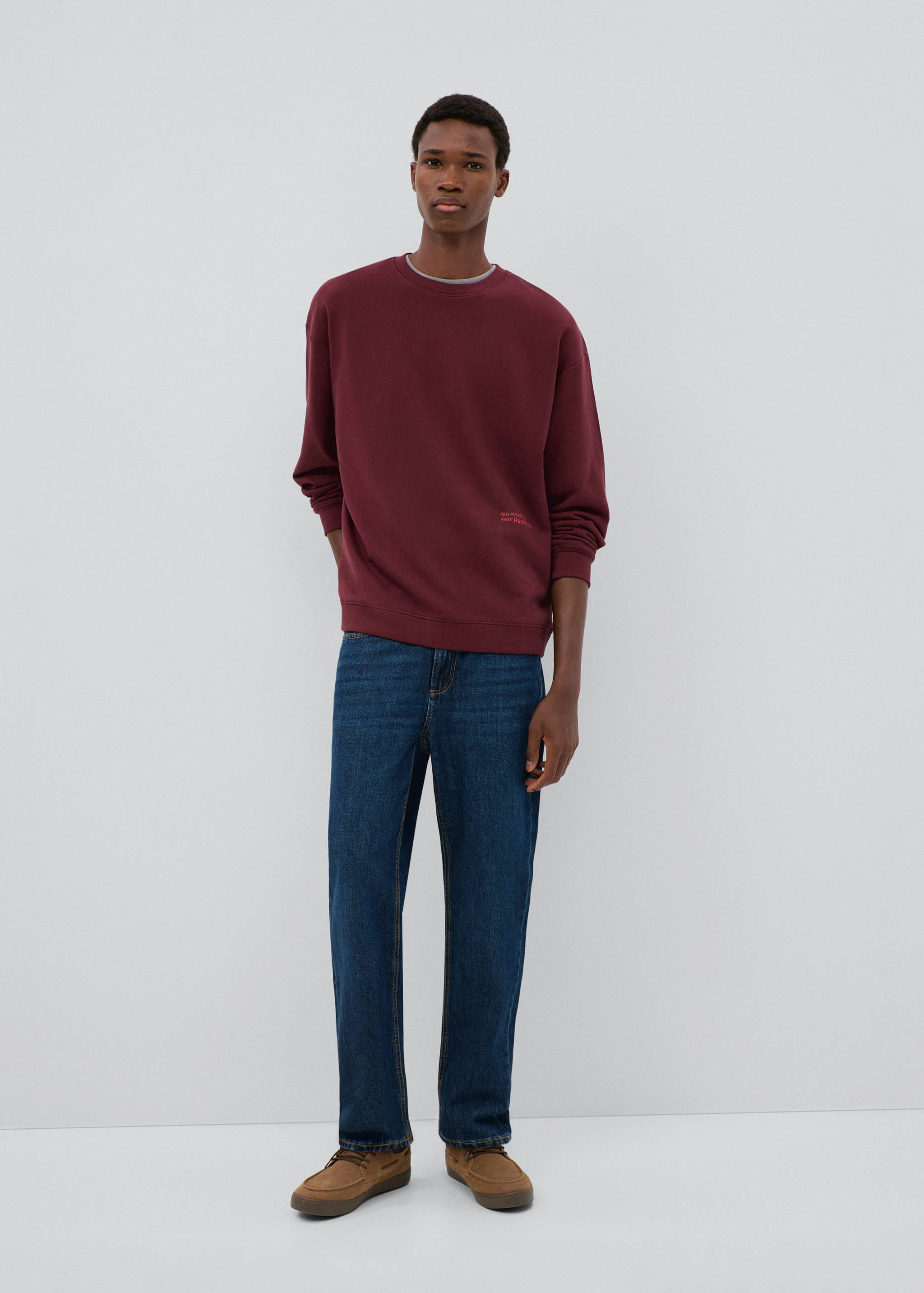 Printed cotton sweatshirt - General plane