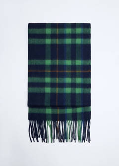 Fringed edge wool-blend scarf — Green 2