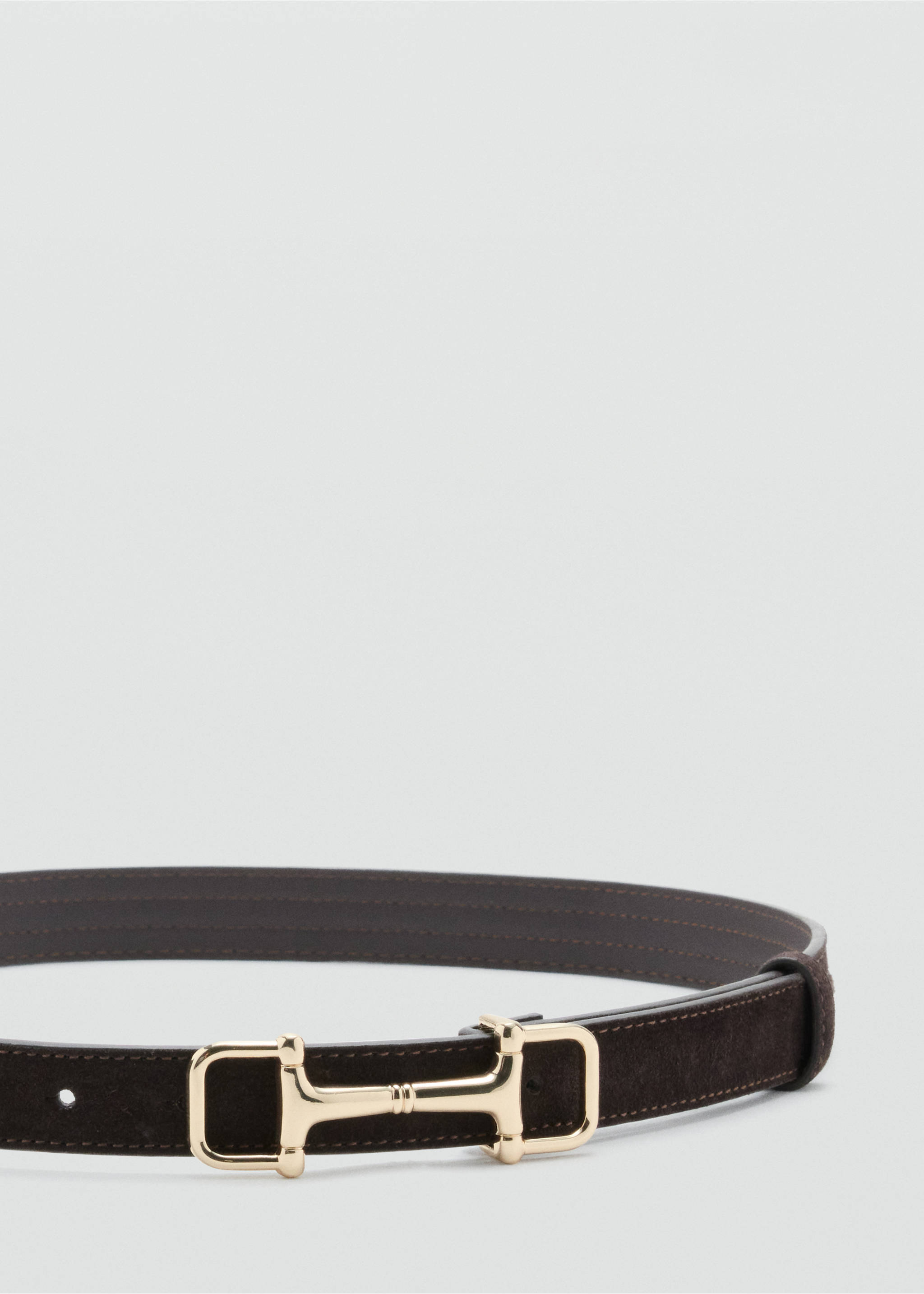 Leather belt with equestrian metal detail - Medium plane, Chocolate. Ref: 37036356-00.
