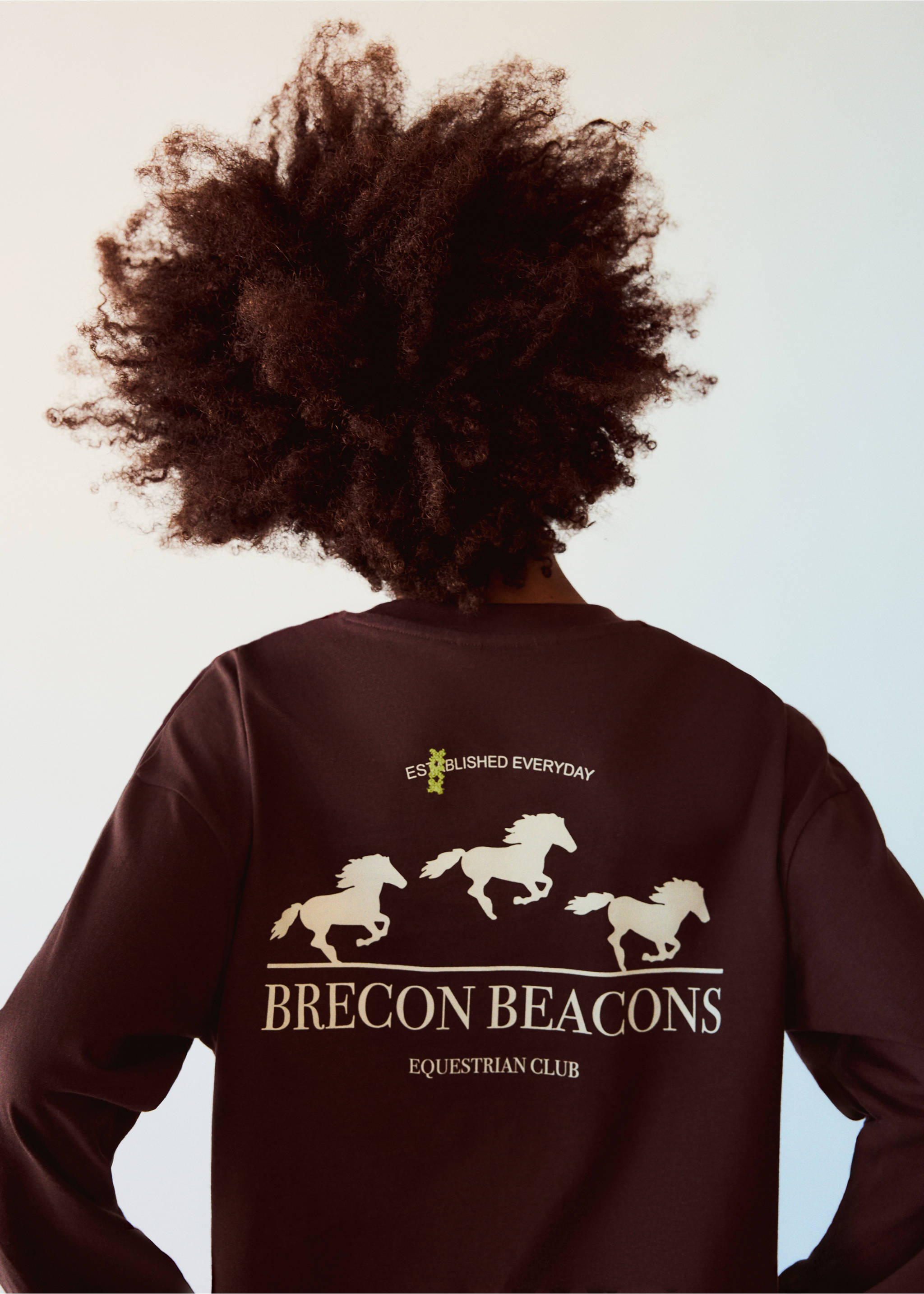 Burgundy long-sleeved t-shirt with a white horse graphic and Brecon Beacons text on the back, viewed from behind., Chocolate. Ref: 37037914-00.