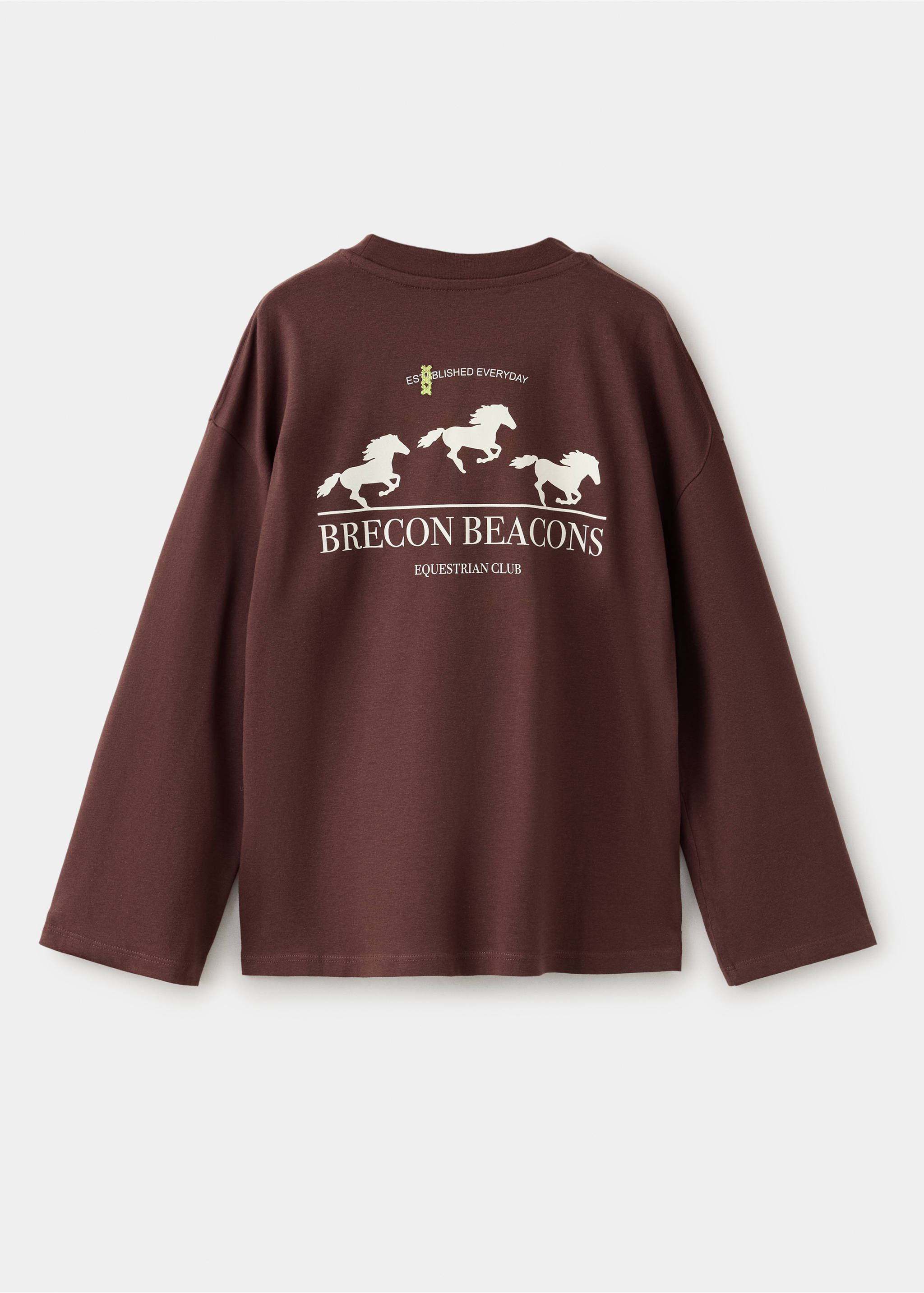 Brown long-sleeved t-shirt viewed from the back, featuring a white horse graphic and 'Brecon Beacons' text., Chocolate. Ref: 37037914-00.