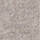 Medium Brown