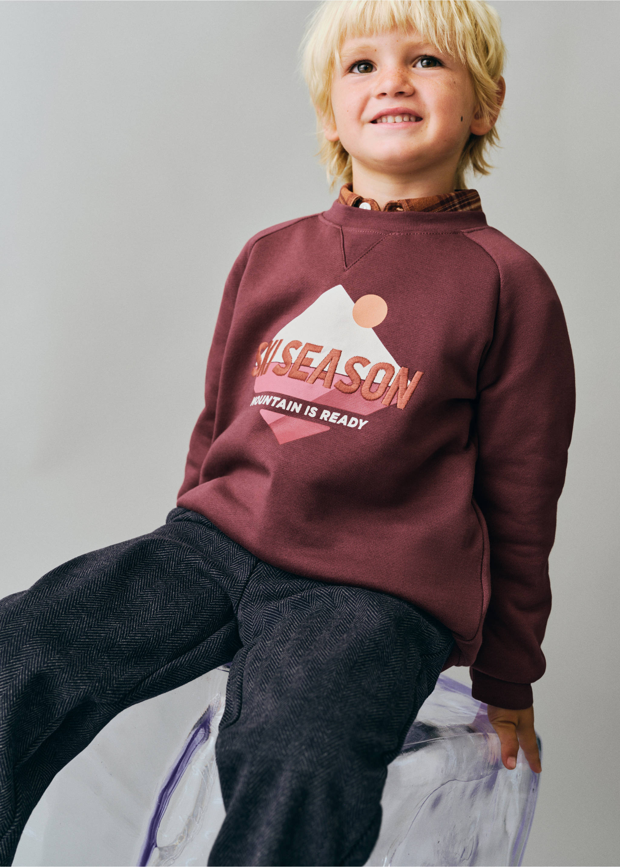 Printed cotton sweatshirt - Details of the article 1, Maroon. Ref: 37038631-00.