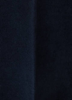 Velvet trousers with buttons — Blue 11