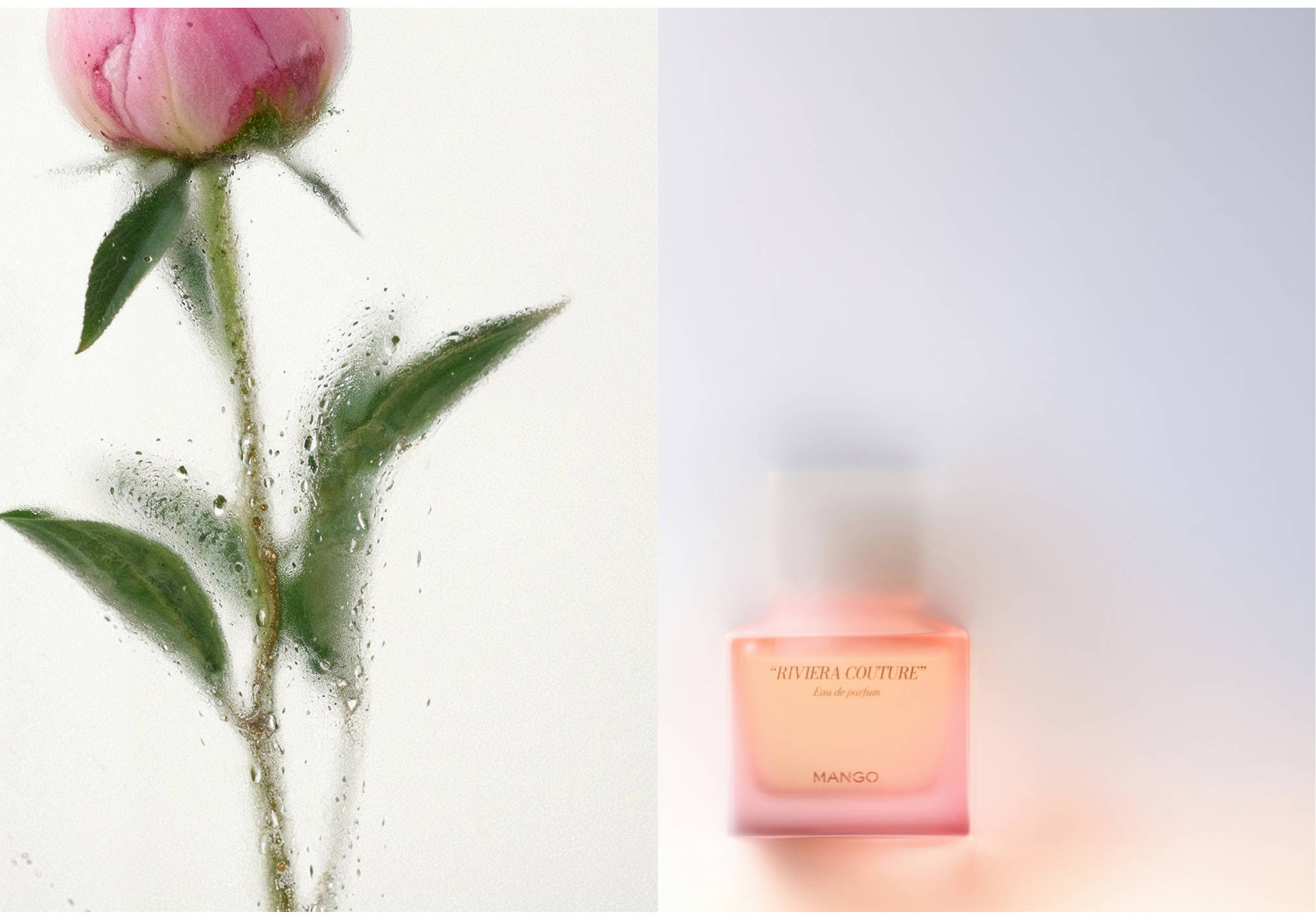 Perfume Riviera Couture 80ml - Plano panorámico