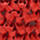 Colour Red selected