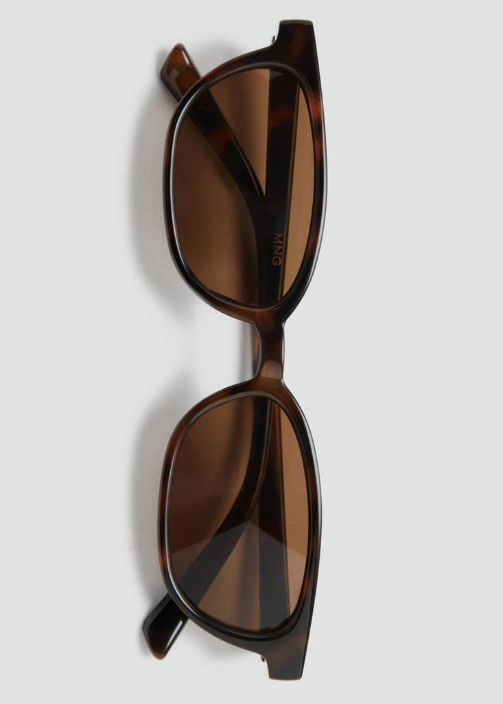 Resin frame sunglasses — Chocolate