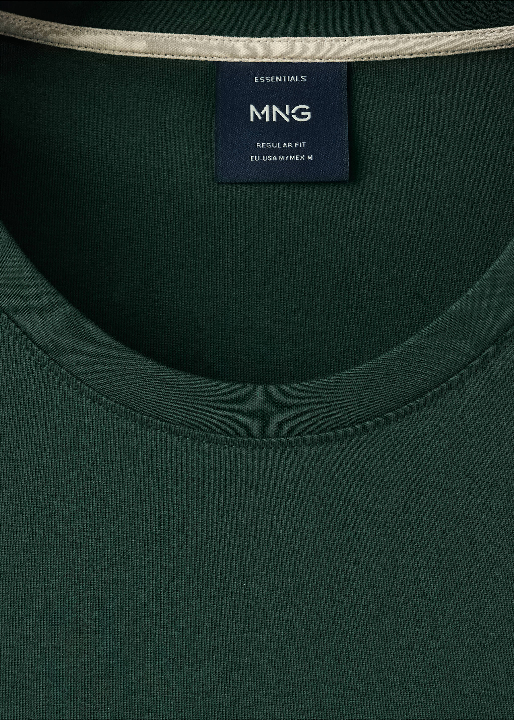 100% cotton T-shirt regular fit - Details of the article 8, Dark Green. Ref: 37045999-00.