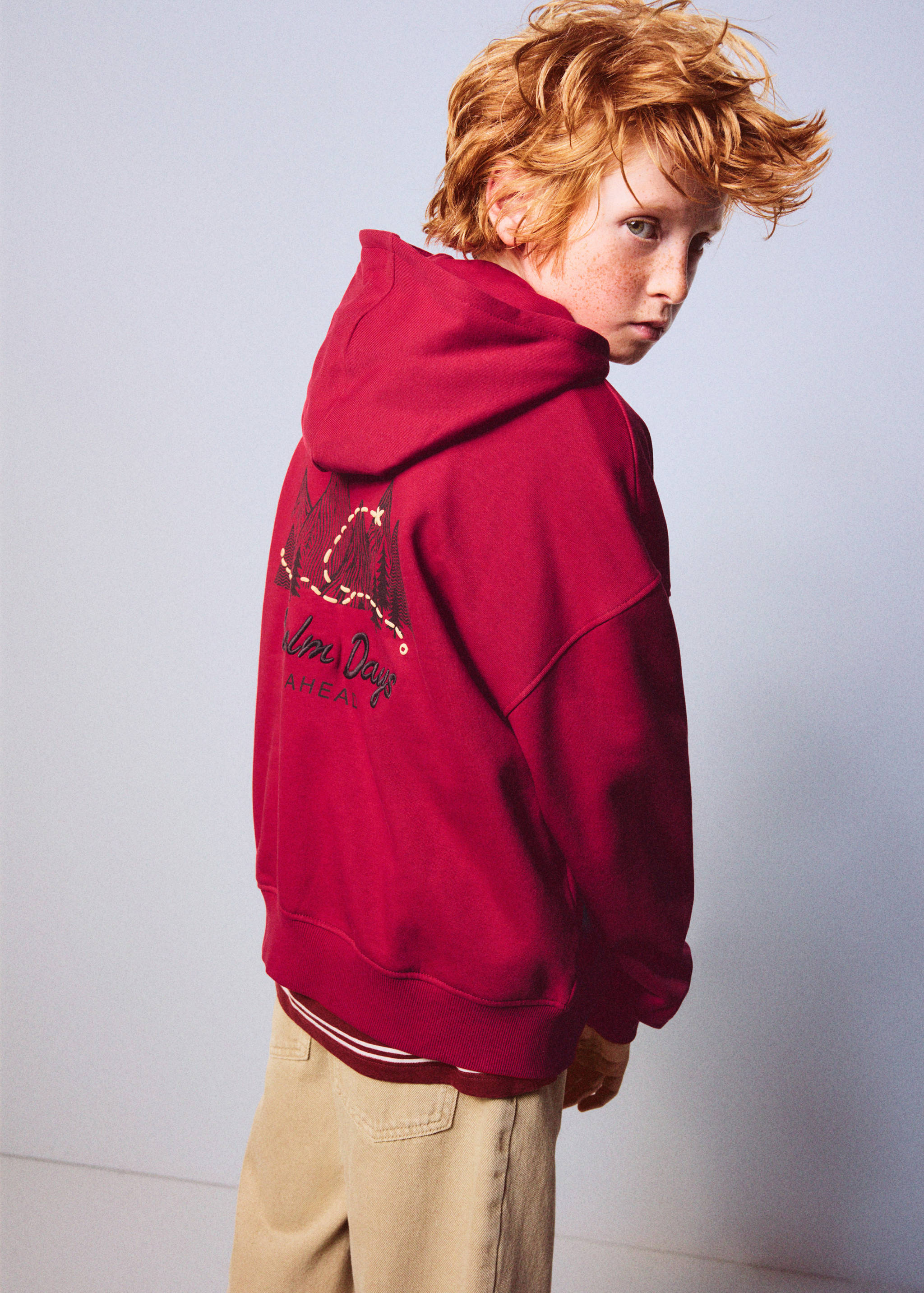 Oversized hoodie - Medium plane