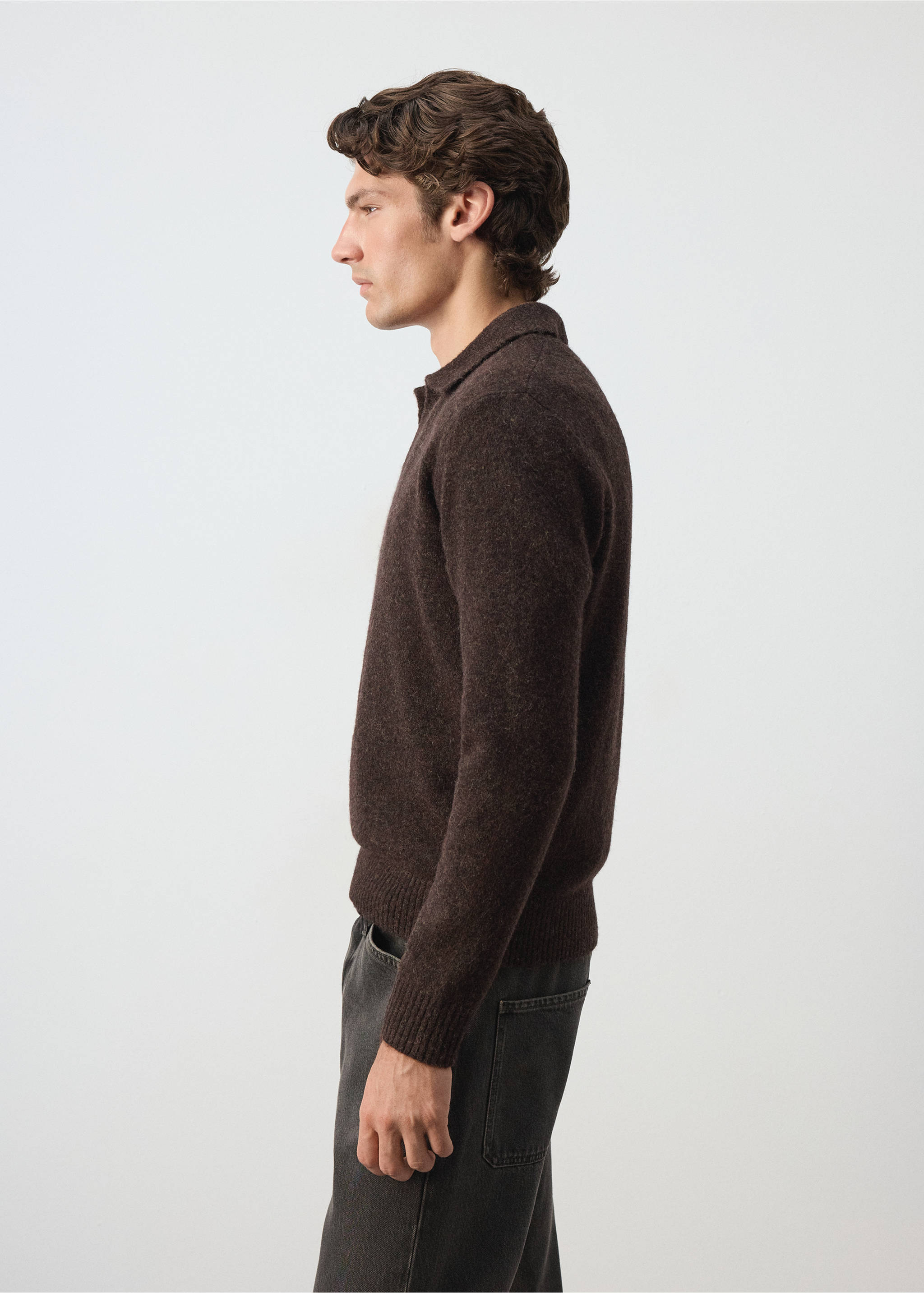 Dark brown knitted polo shirt with long sleeves and a classic collar., Chocolate. Ref: 37047916-00.