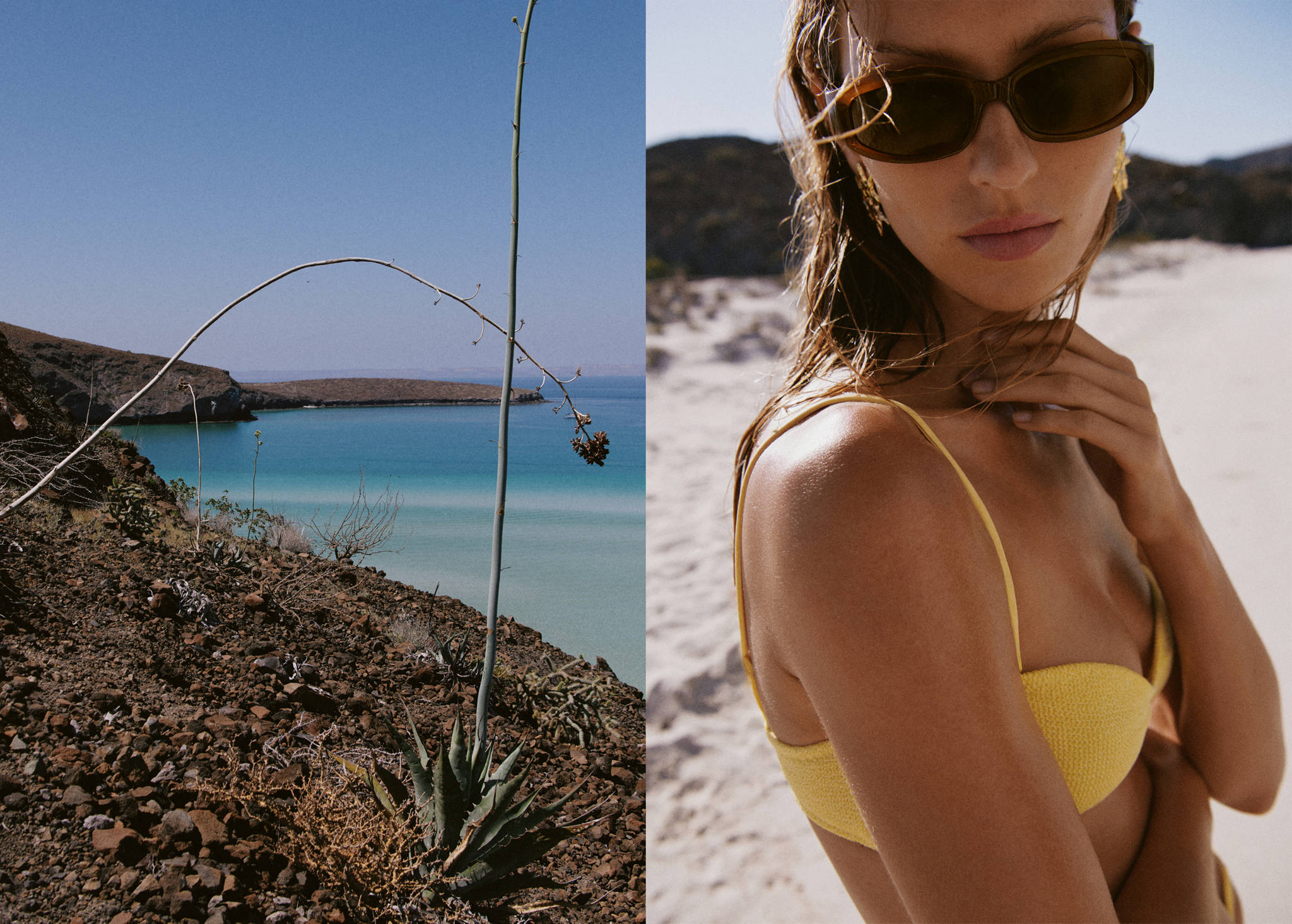 Resin frame sunglasses - Panoramic plane