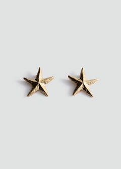 Star design earrings — Gold 1