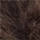 Colour Brown selected