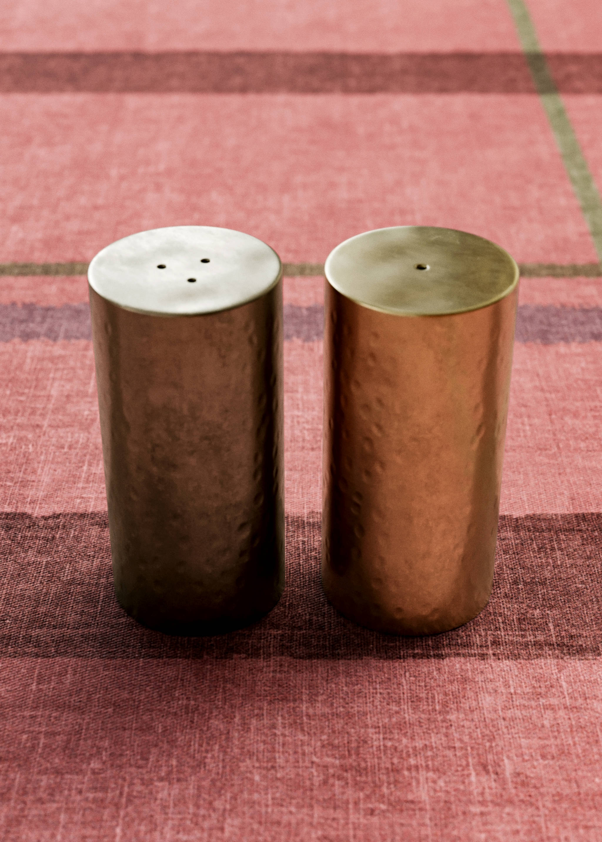 Stainless steel salt and pepper shakers - General plane