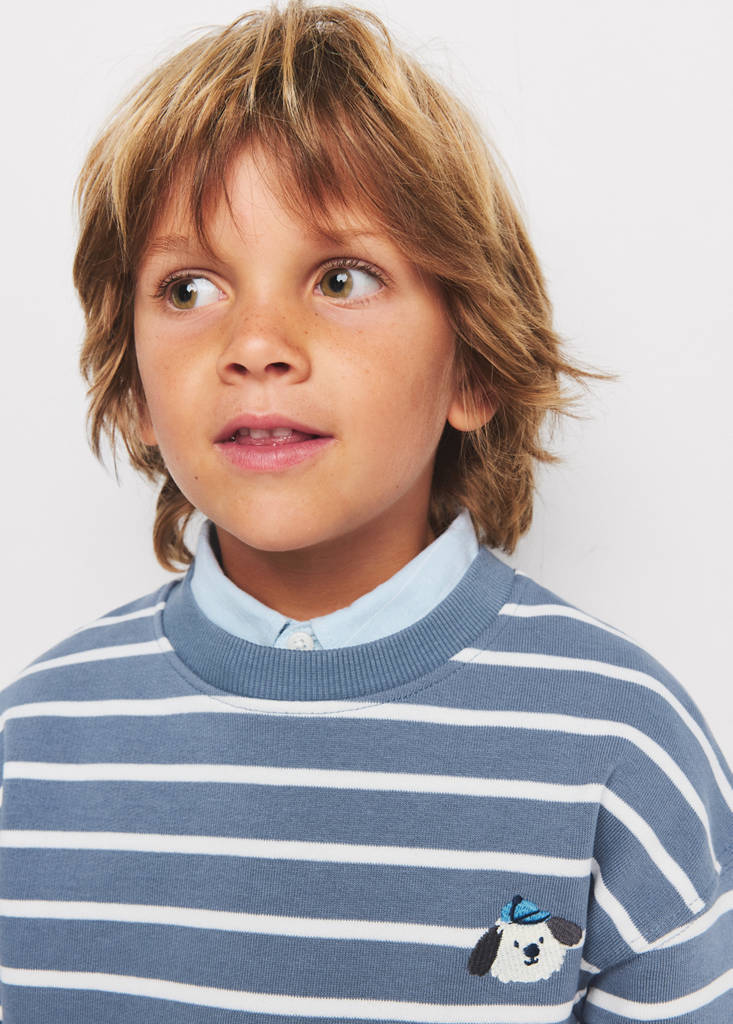 Striped cotton sweatshirt with embroidery — Blue
