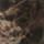 Color Brown selected