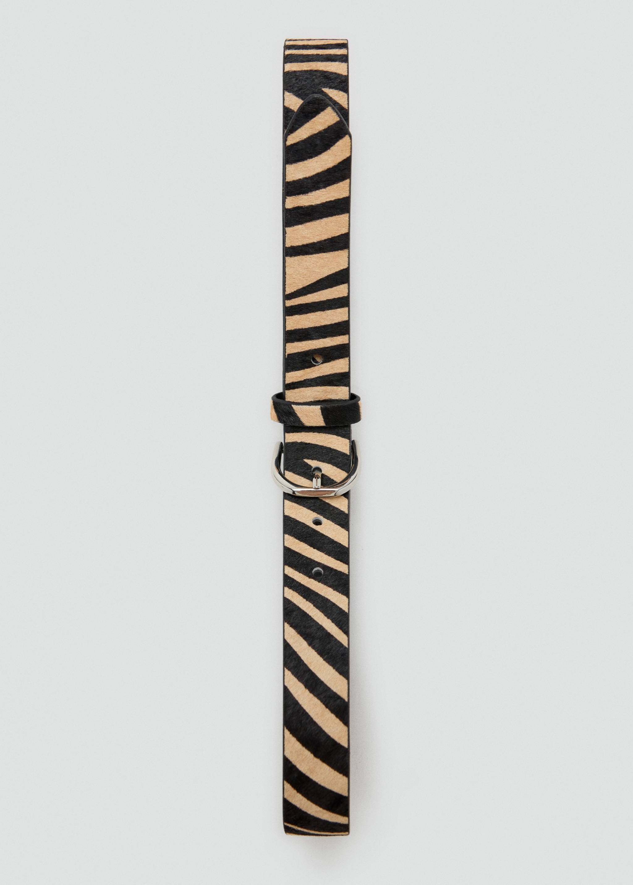 Belt iana - Details of the article 2