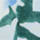 Colour Emerald Green selected