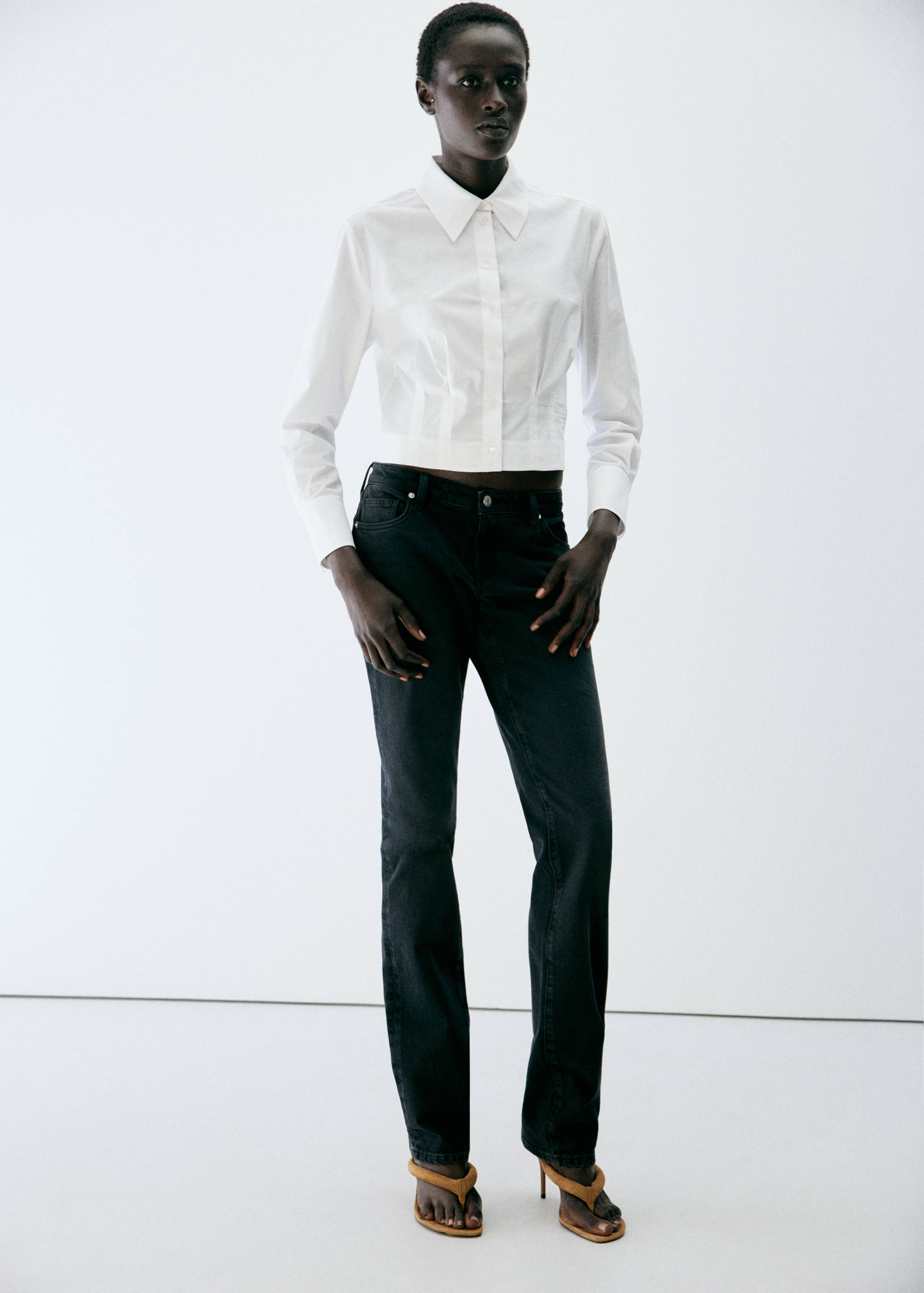 Chemise coton pinces - Plan général