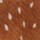 Color Brown selected