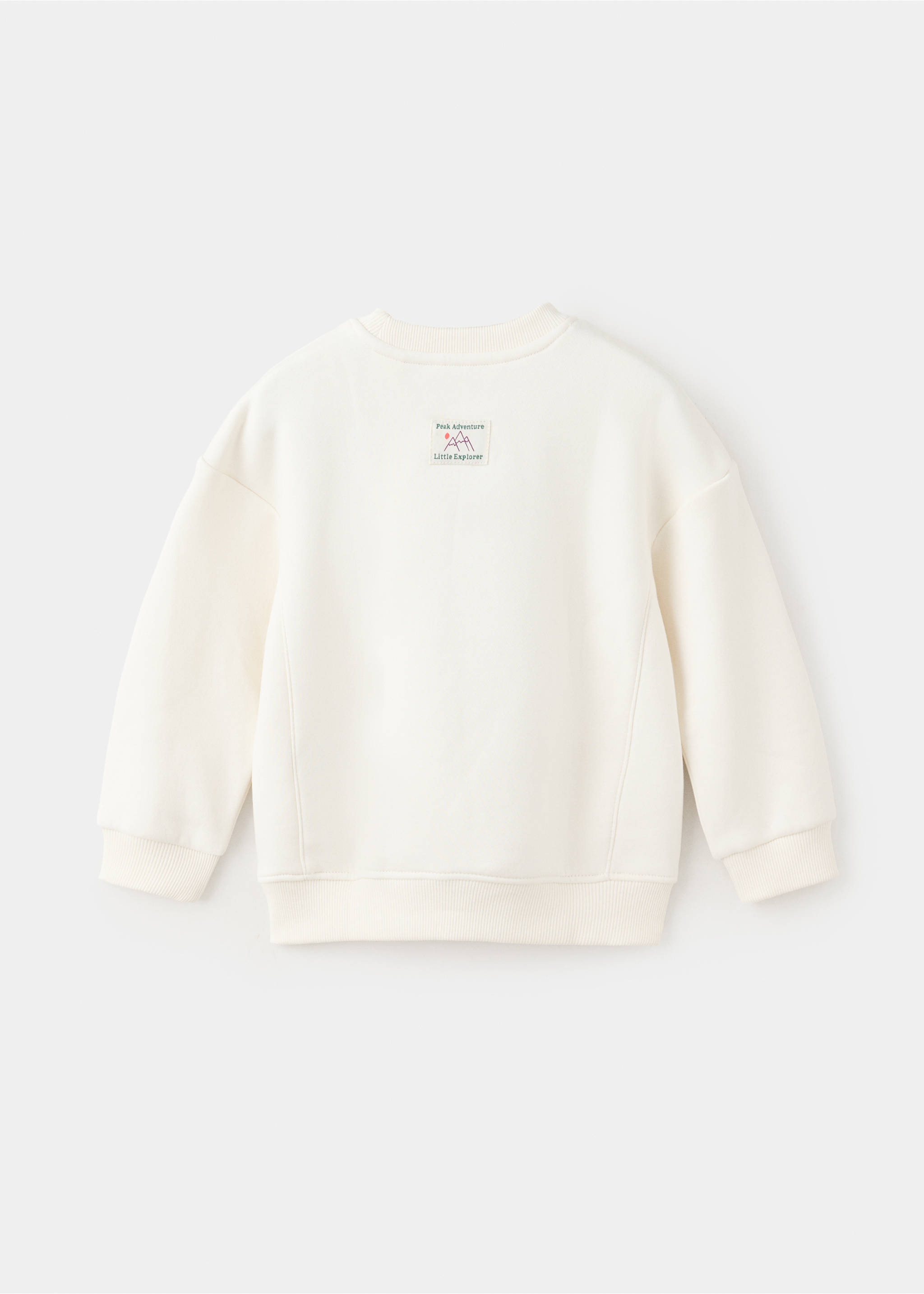 Printed cotton sweatshirt - Reverse of the article, Aqua Green. Ref: 37057131-00.