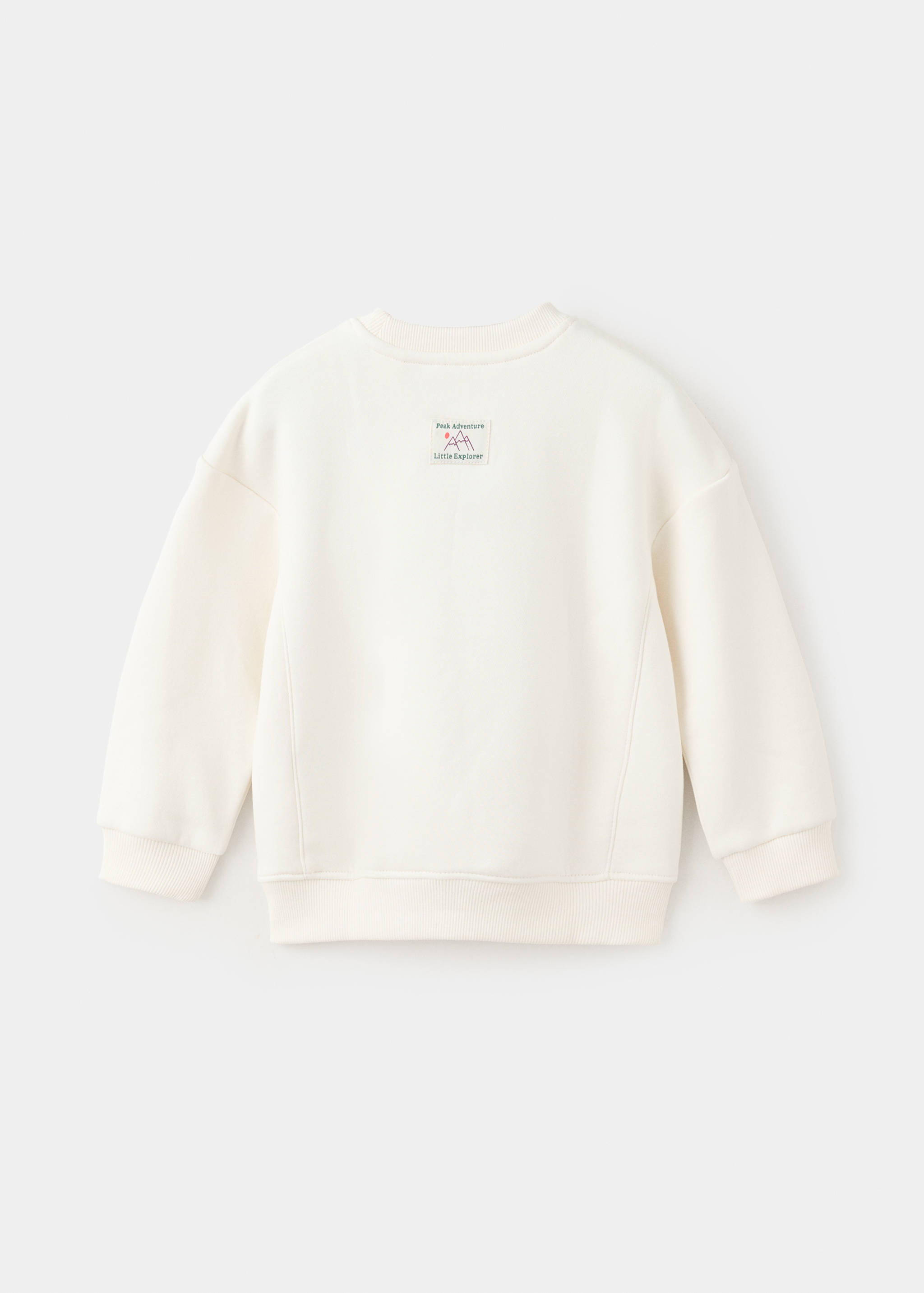 Printed cotton sweatshirt - Reverse of the article