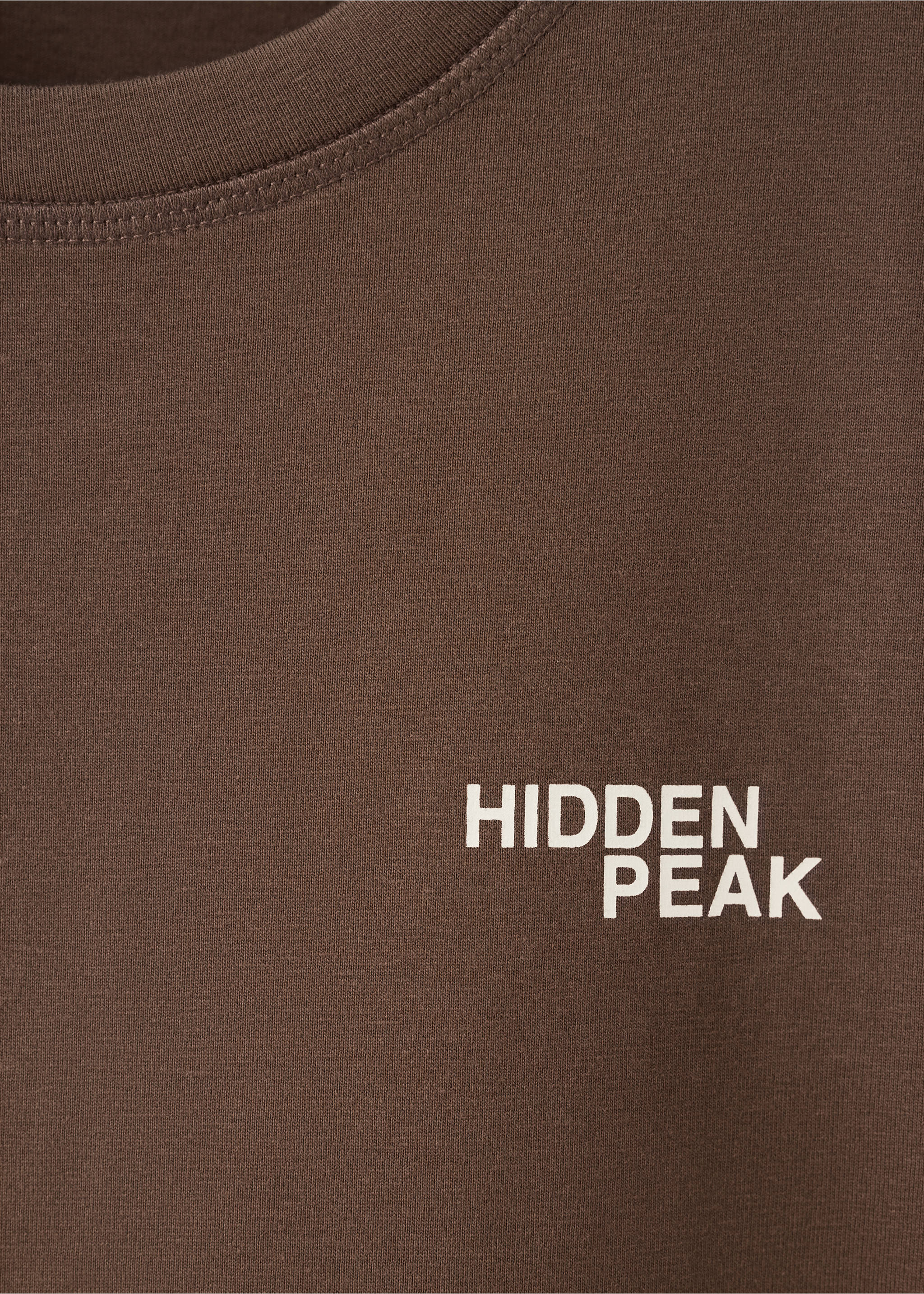 T-SHIRT HIDDEN - Details of the article 8, Brown. Ref: 37057801-00.